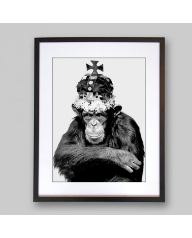 El rey chimpazé El rey chimpazé