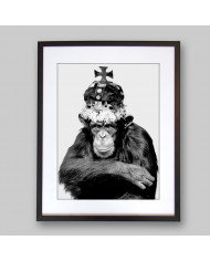 El rey chimpazé