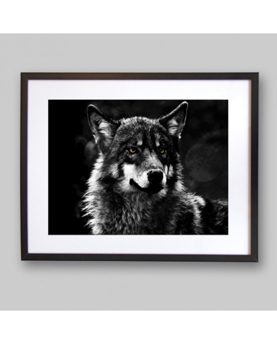 Lobo Lobo