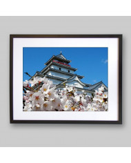 Castillo de Aizuwakamatsu,Japón