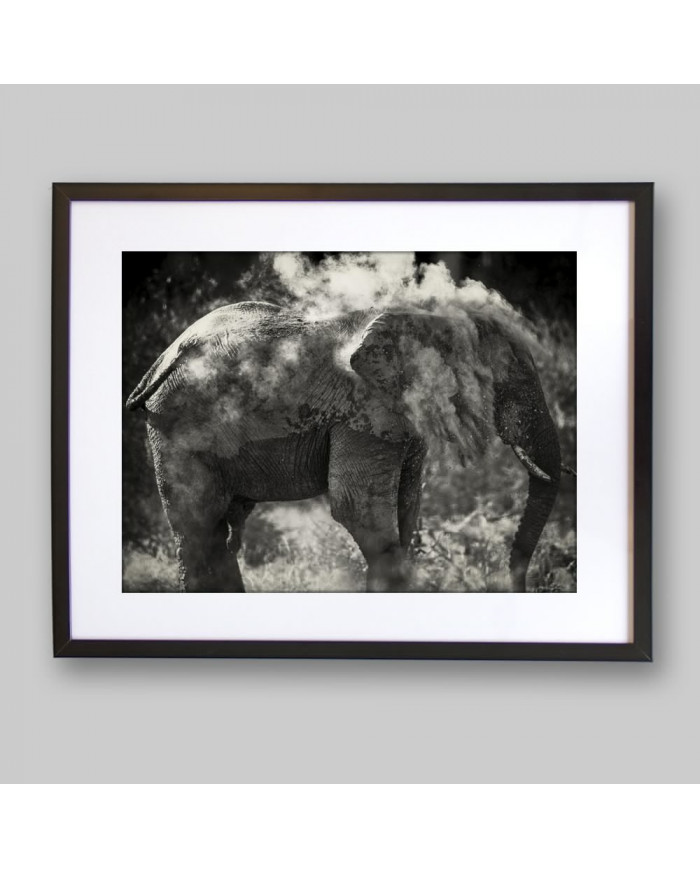 Elefante limpiándose,Parque Nacional Etosha,Namibia