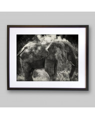 Elefante limpiándose,Parque Nacional Etosha,Namibia