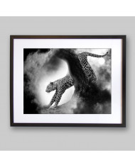 Leopardo cazando,Parque Nacional Kruger,SudÁfrica