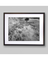 Migracion de animales,Parque Nacional Serengueti,Tanzania