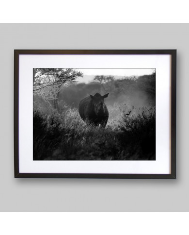Rinoceronte,Parque Nacional Kruger,SudÀfrica Rinoceronte,Parque Nacional Kruger,SudÀfrica