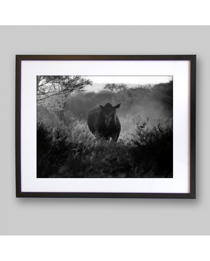 Rinoceronte,Parque Nacional Kruger,SudÀfrica