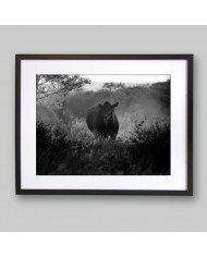 Rinoceronte,Parque Nacional Kruger,SudÀfrica