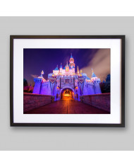 Sleeping Beauty Castle,Disneyland