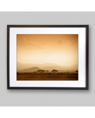 Amanecer en la sabana africana , Bostwana