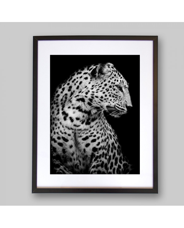 Retrato de un leopardo, Parque Nacional Serengueti, Tanzania