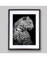 Retrato de un leopardo, Parque Nacional Serengueti, Tanzania