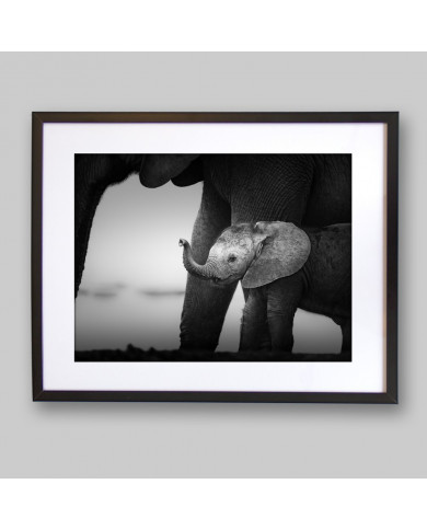 Bebé elefante con su madre, Parque Nacional Serengueti, Tanzania Bebé elefante con su madre, Parque Nacional Serengueti, Tanzania