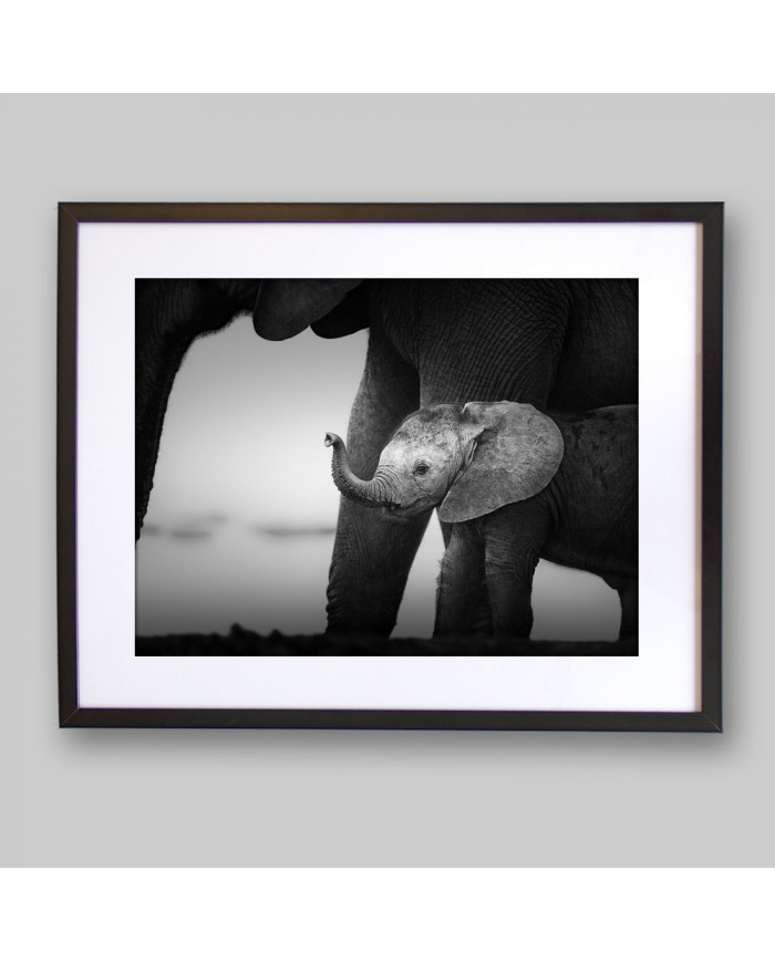 Bebé elefante con su madre, Parque Nacional Serengueti, Tanzania