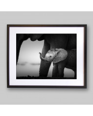 Bebé elefante con su madre, Parque Nacional Serengueti, Tanzania