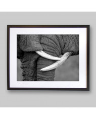 El beso de los elefantes, Parque Nacional Moremi, Botswana