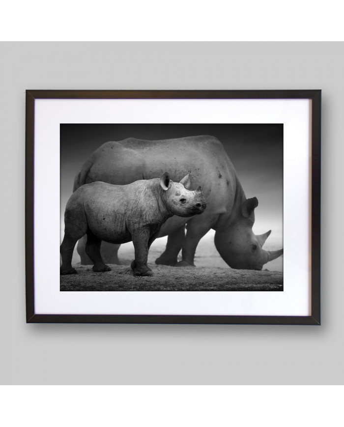 Rinocerontes, Parque Nacional Etosha, Namibia