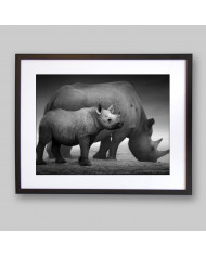 Rinocerontes, Parque Nacional Etosha, Namibia