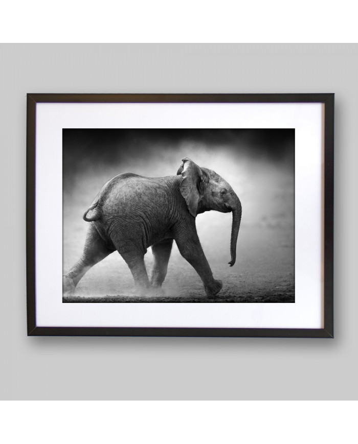 Bebé elefante , Parque Nacional Moremi, Botswana