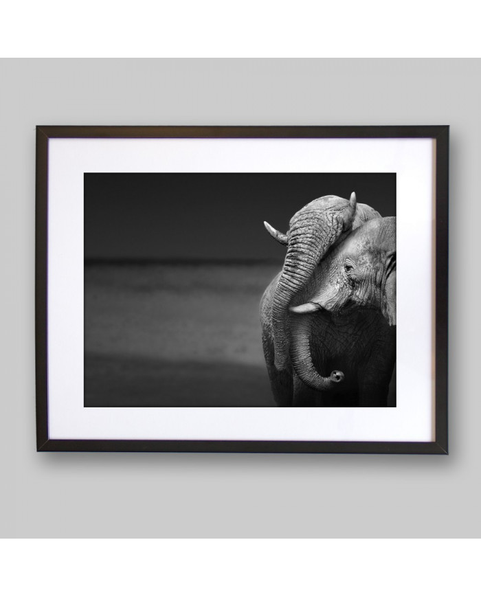 El beso de los elefantes, Parque Nacional Moremi, Botswana