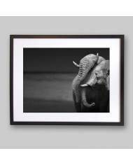 El beso de los elefantes, Parque Nacional Moremi, Botswana