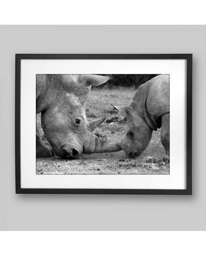 Rinoceronte hembra con su bebé, Parque Nacional Ngorongoro, Tanzania