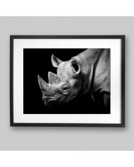 Retrato de un rinoceronte