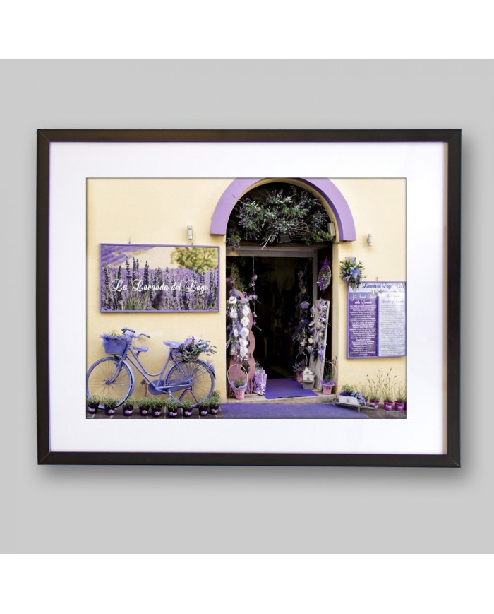 La lavanda del lago, Italia