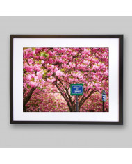 Calle de París en primavera