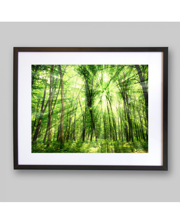 Luz entre árboles, Filipinas