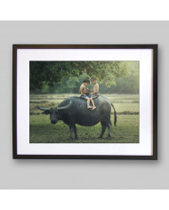 Niños leyendo sobre un búfalo, India