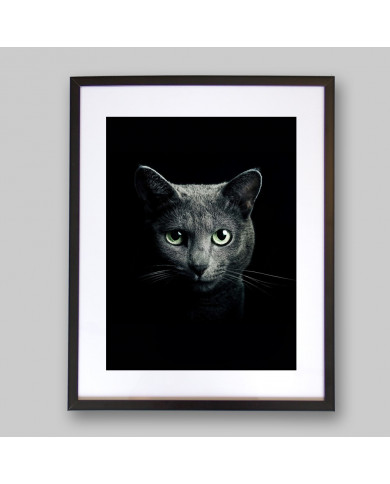 Retrato de un gato Retrato de un gato