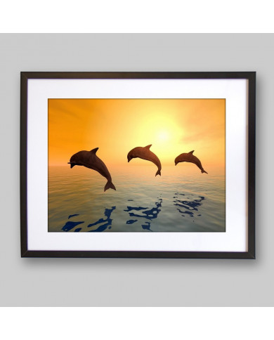 Delfines saltando Delfines saltando