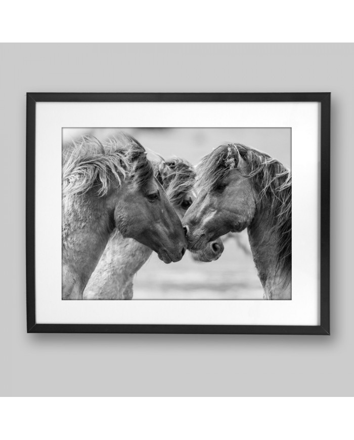 Caballos en lucha II