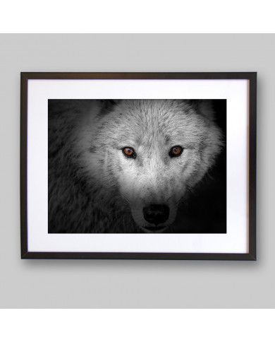 La mirada del lobo La mirada del lobo