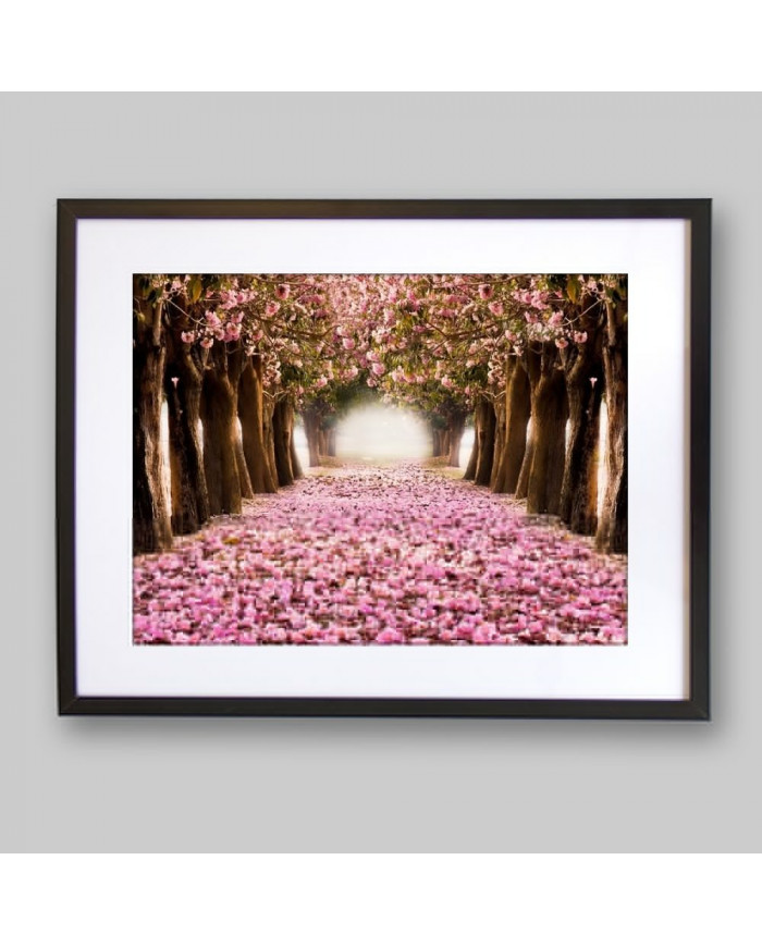 El tunel romántico de flores rosas