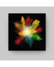 La explosión de la vida