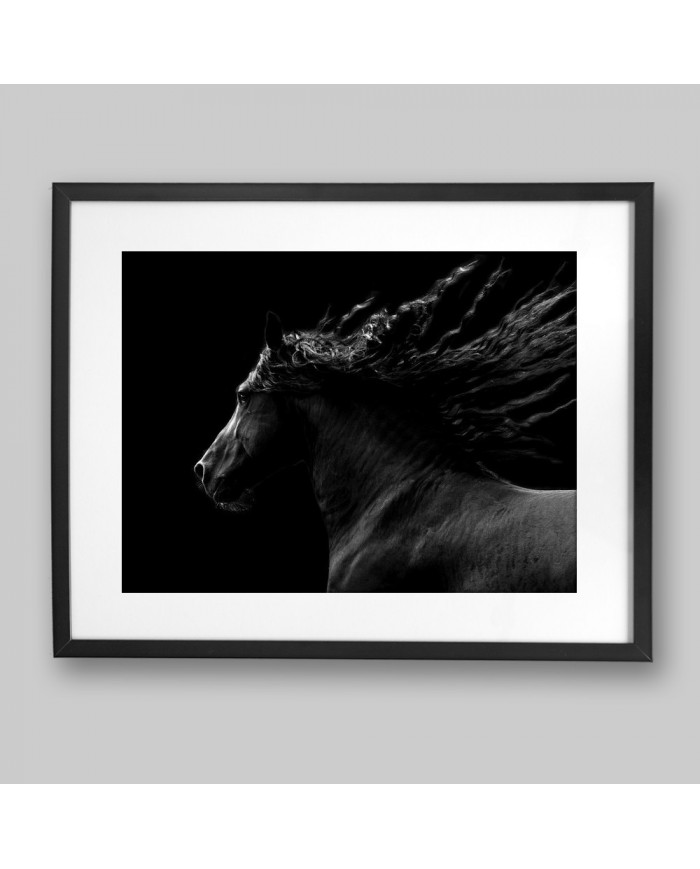 Caballo negro cabalgando