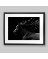 Caballo negro cabalgando