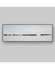 Vista panorámica, caballos, Islandia