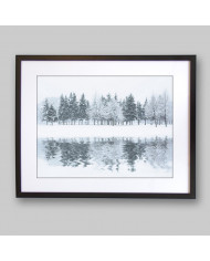 Bosque en invierno, Alaska, USA