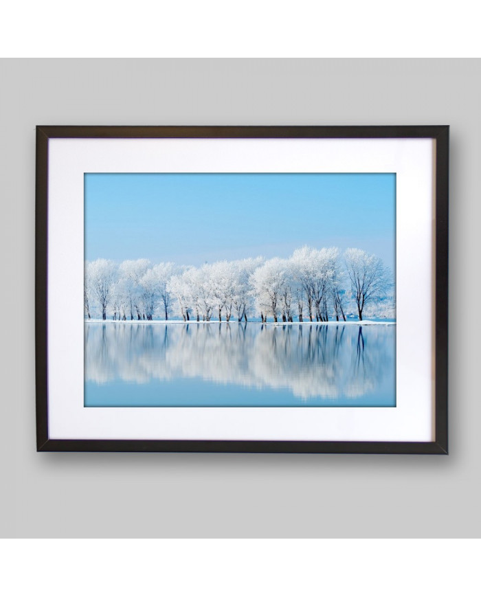 Bosque en invierno, Siberia, Rusia