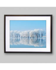 Bosque en invierno, Siberia, Rusia