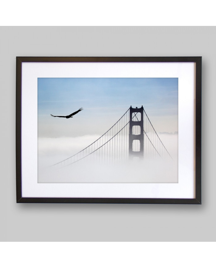 Ágila sobre el puente Golden Gate, San Francisco, California, USA