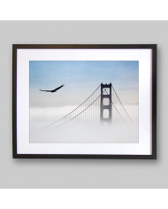 Ágila sobre el puente Golden Gate, San Francisco, California, USA