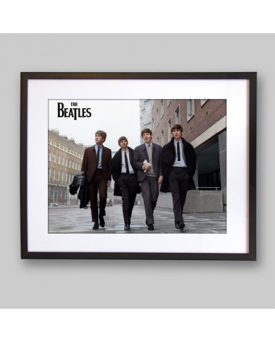 The Beatles The Beatles
