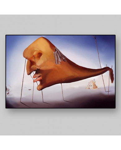 Dali, Sommeil Dali, Sommeil