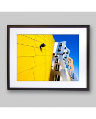 Frank Gehry Architecture