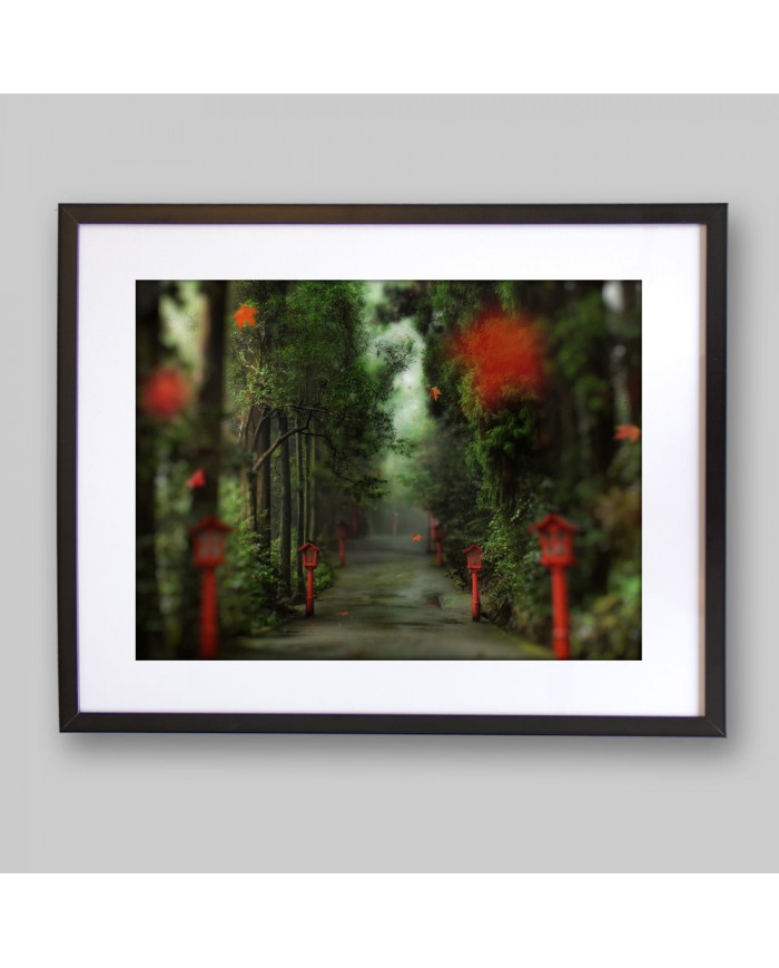 Camino del bosque, China