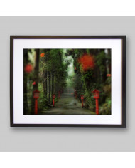 Camino del bosque, China