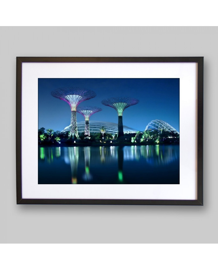 Gardens by the bay, Singapur